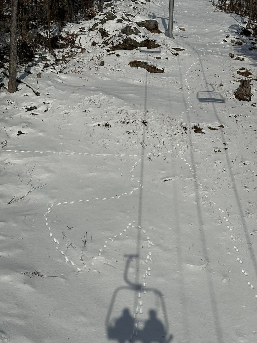 Shadow of a chairlift over snow with heart-shaped animal tracks below