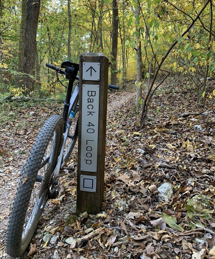 Mountain bike leaning against a trail marker post in the woods